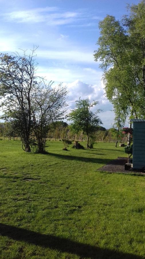 Hopgarden Glamping - Luxury 6M Bell Tent Wadhurst Luaran gambar