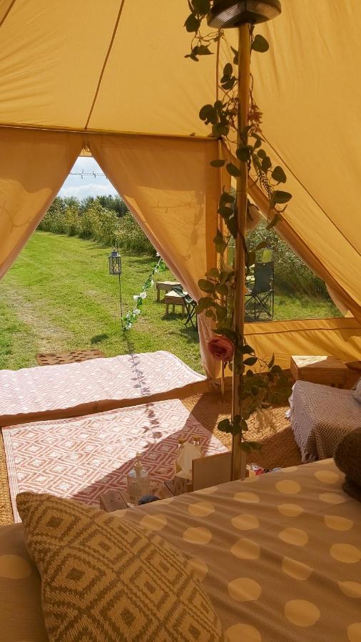Hopgarden Glamping - Luxury 6M Bell Tent Wadhurst Luaran gambar