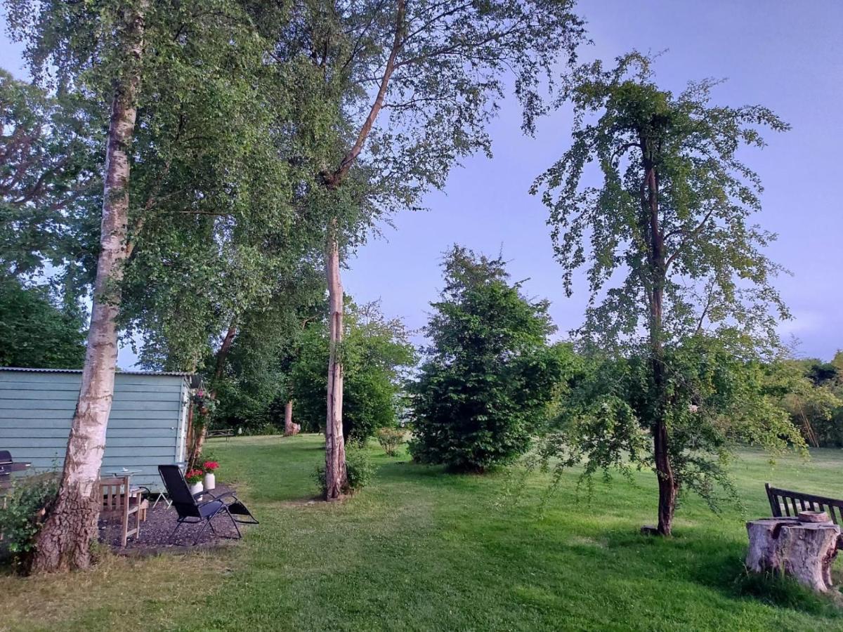 Hopgarden Glamping - Luxury 6M Bell Tent Wadhurst Luaran gambar